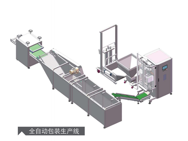 全自動包裝生産線(xian)