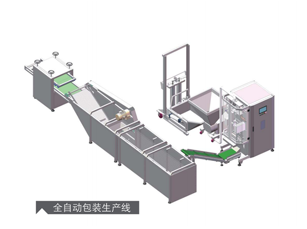 <b>全自動包裝生産線</b>